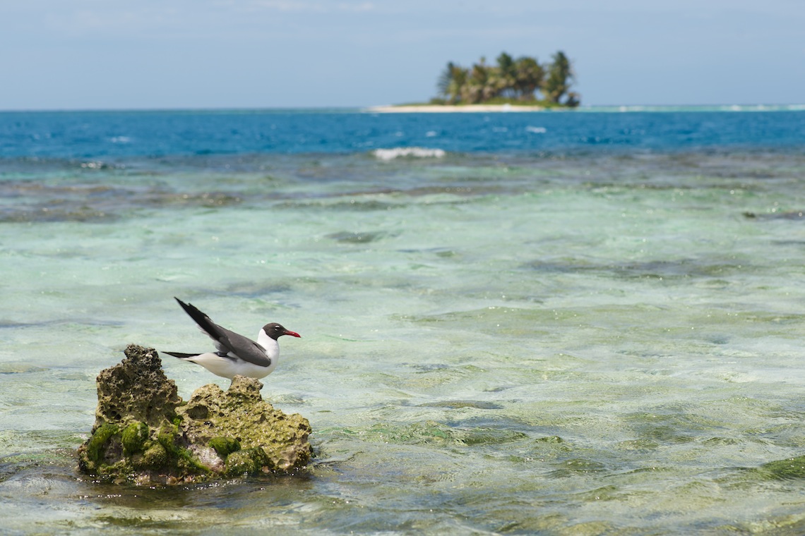 Belize diving 18.jpg