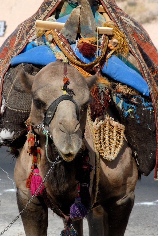 Cappadocia (1).jpg