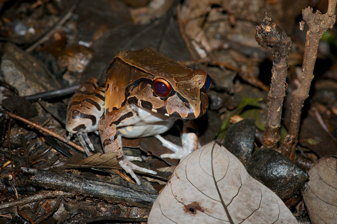 Sani day 2 night walk 48 - Version 2-DUP.jpg