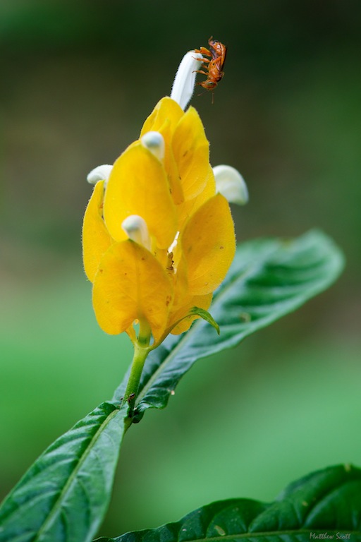 Sani day 4 307 - Version 2-DUP.jpg