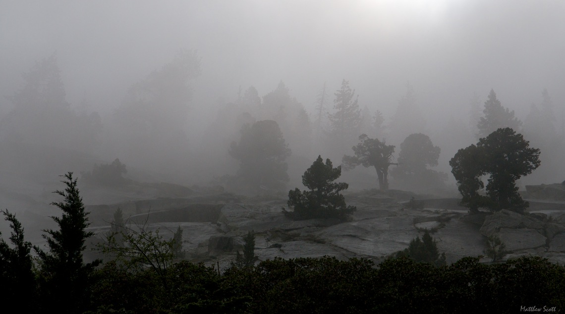 _DSC1481 - Version 2.jpg