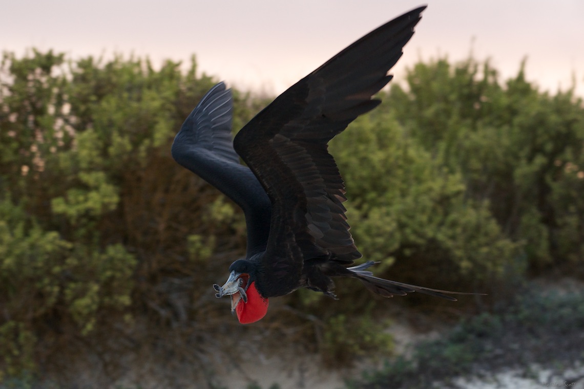 _DSC4549 - Version 2.jpg