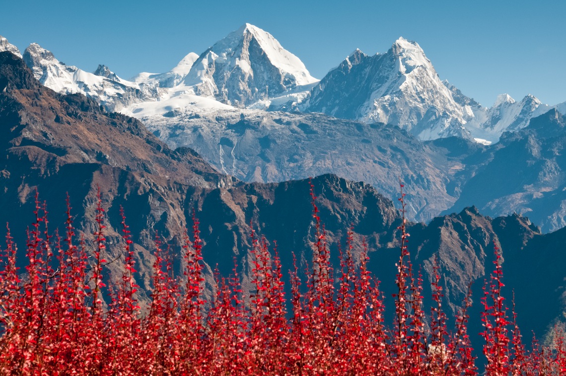 nepal apf langtang 28.jpg